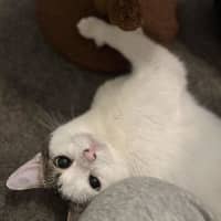 Photo of Smoosh