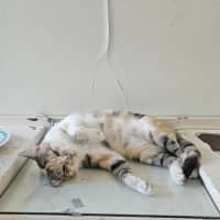 Photo of Matilda