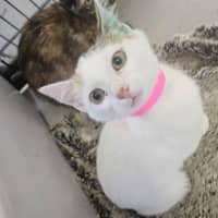 Photo of Kiki