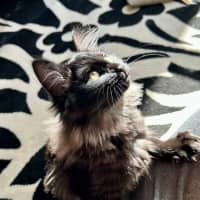 Photo of Lumos   Located In Lower Plenty