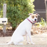 Photo of Marnie