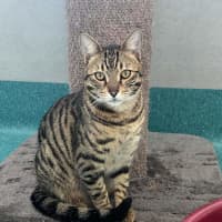 Photo of Manny