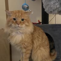 Photo of Bobby