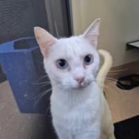 Photo of Spirit