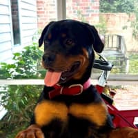 Photo of Lucky Newhaven