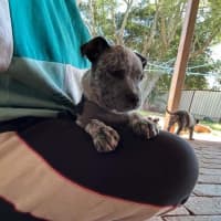 Photo of Sally