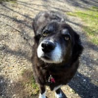 Photo of Susie