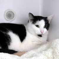Photo of Sunny Rsta011322