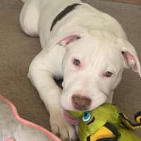 Photo of ❄️ Snowy ❄️