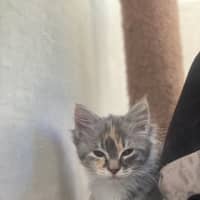 Photo of Princess