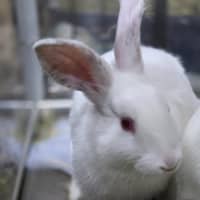 Photo of Harper
