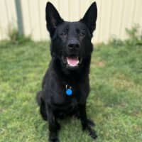 Photo of Leo