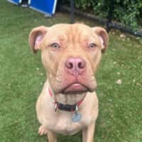 Photo of Bruce Bogtrotter