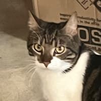 Photo of Christopher 