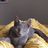 Photo of Frodo
