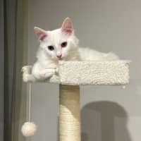 Photo of Cloud