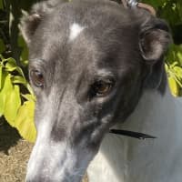 Photo of Edna