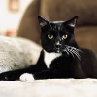 Photo of Wayne
