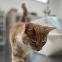 Photo of Floyd (0203)