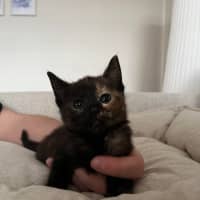 Photo of Evie