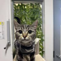 Photo of 🍣 Bento 6314 🍣