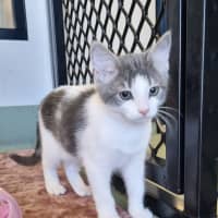 Photo of Mr Percival