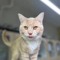 Photo of 🥞 Rupert 5644 🥞