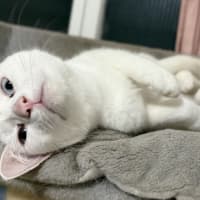 Photo of Tammy