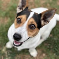 Photo of Missy