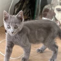 Photo of Wafer And Et