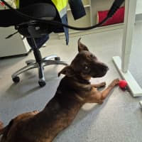 Photo of Toohey! 🍻