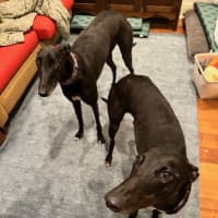 Photo of Keira