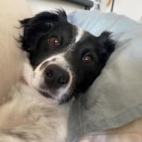 Photo of Sam Jablonski