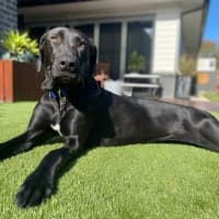 Photo of Maggie 🌻