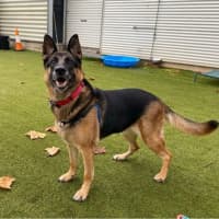 Photo of Heidi