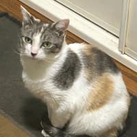 Photo of Vera