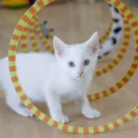 Photo of Lily