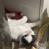 Photo of Dolly
