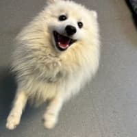 Photo of Billy
