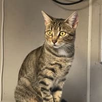Photo of Polly