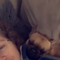 Photo of Penelope And Nala 