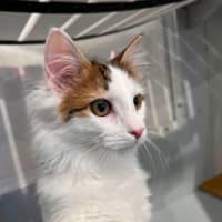 Photo of Steve