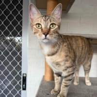 Photo of Matilda