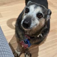 Photo of Barney Lozano