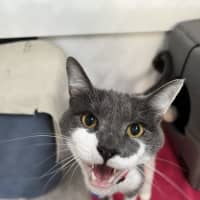 Photo of Principal Flutie 