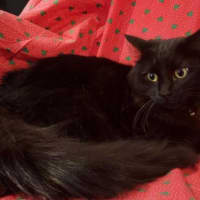 Photo of Turbo