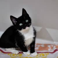 Photo of Twirl