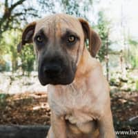 Photo of Liam O’cleary