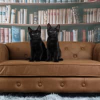 Photo of The Riddler