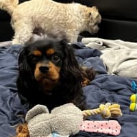 Photo of Walter Quinnell